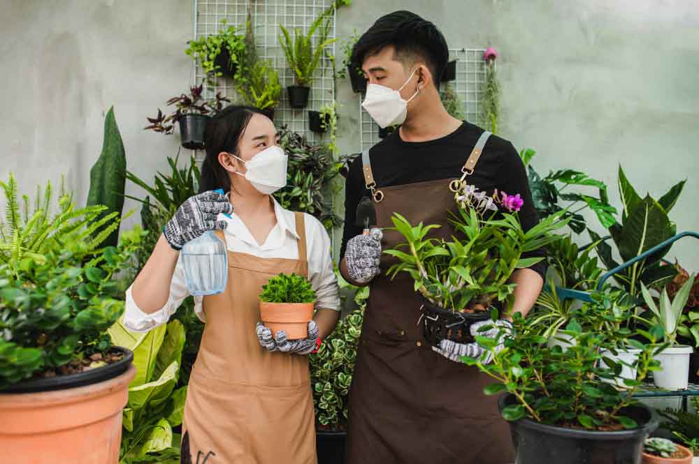 Tạo không gian "Greenery" cùng cây cảnh và cây xanh